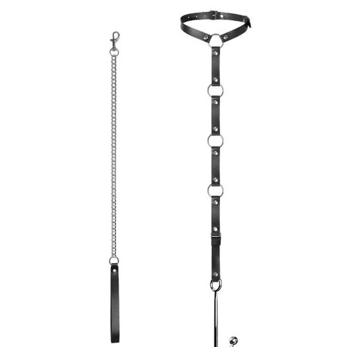 Hook Anal EverydayUse Collar 5853 Leash and Kinky with 0718